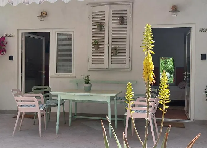 Roza - A Charming Oasis In The Centre Of