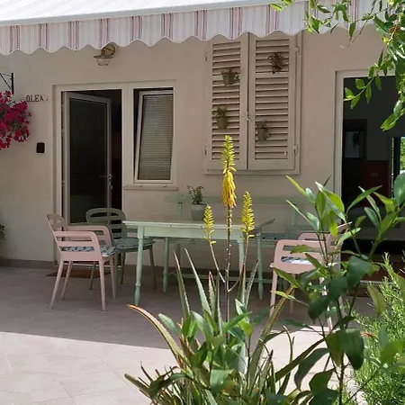 Appartamento A Charming Oasis In The Center *