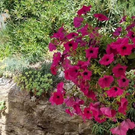 A Charming Oasis In The Center Appartamento *