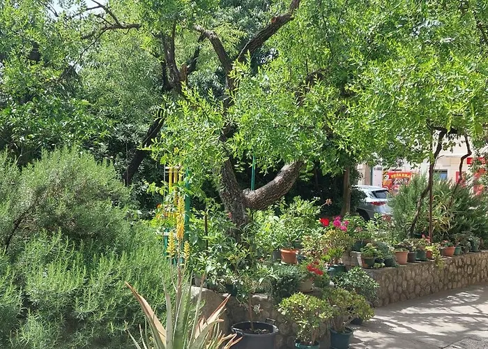 Roza - A Charming Oasis In The Centre Of *