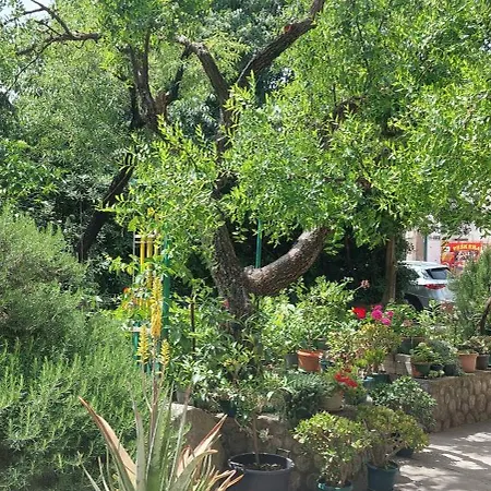 Roza - A Charming Oasis In The Centre Of *